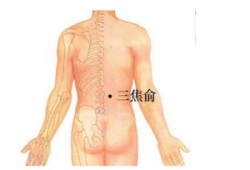 拔罐减肥的位置图视频教程,穴位定位与操作步骤详解